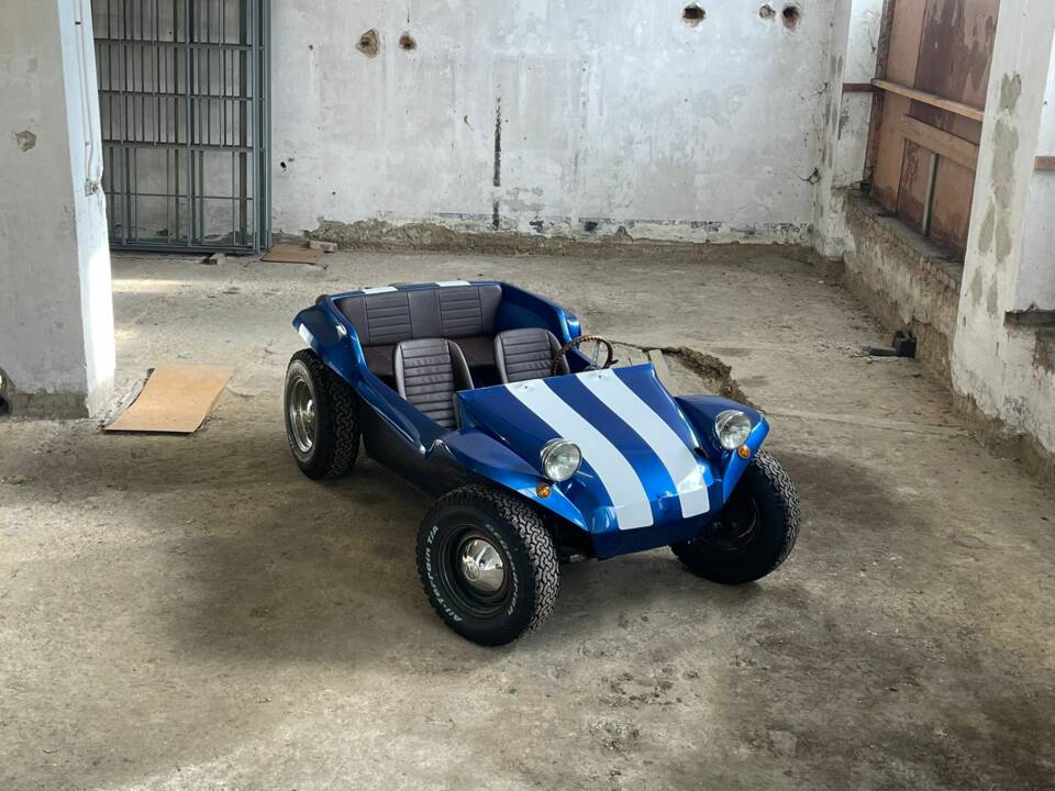 Image 12/25 of Volkswagen Meyers Manx Buggy (1964)