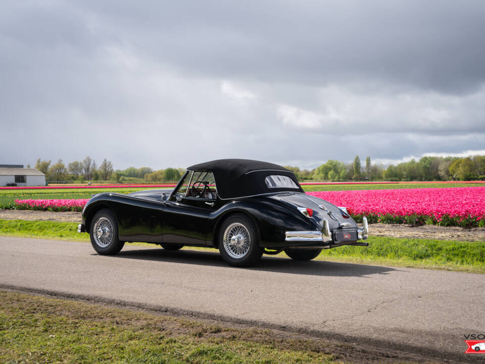 Afbeelding 13/47 van Jaguar XK 140 DHC (1956)