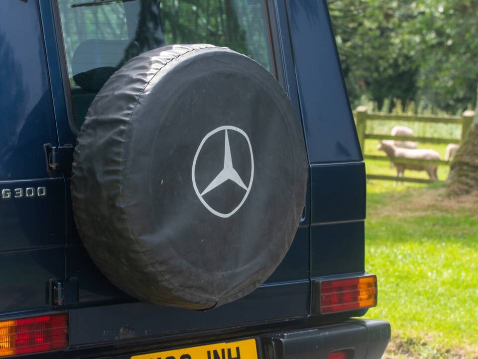 Bild 19/39 von Mercedes-Benz 300 GE (lang) (1995)