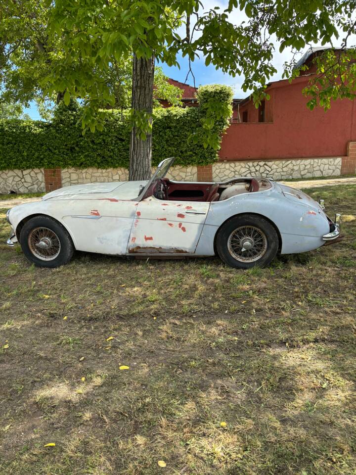Bild 7/19 von Austin-Healey 3000 Mk I (BN7) (1960)