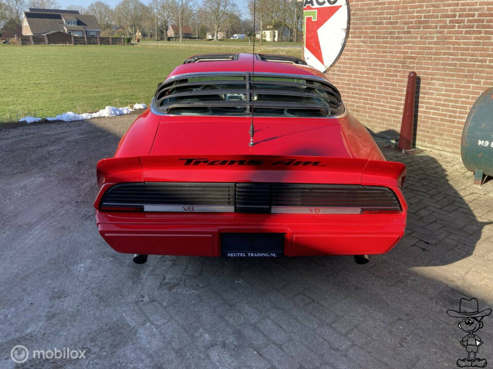 Image 4/50 of Pontiac Firebird TransAm (1982)