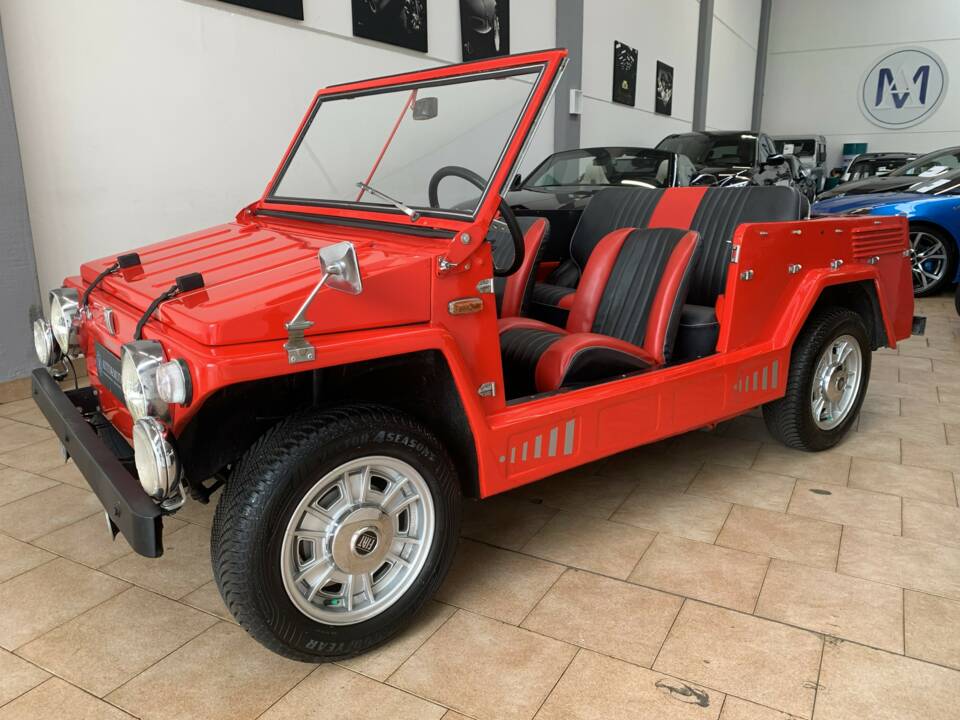 Immagine 6/14 di FIAT 600 Savio Jungla (1967)