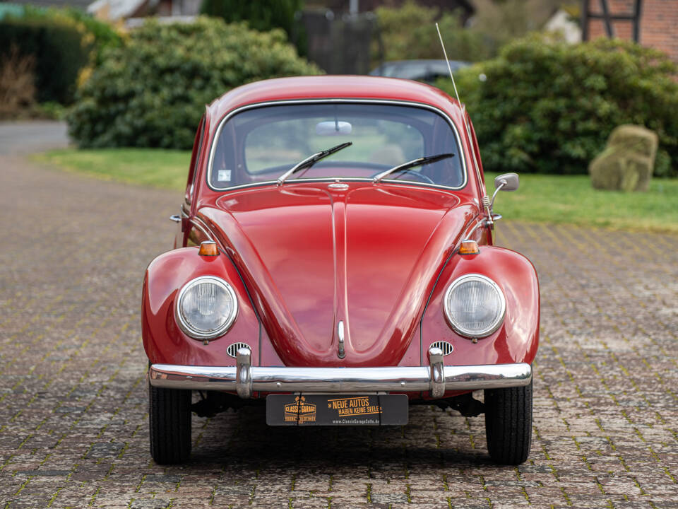 Image 8/38 of Volkswagen Beetle 1300 A (1967)