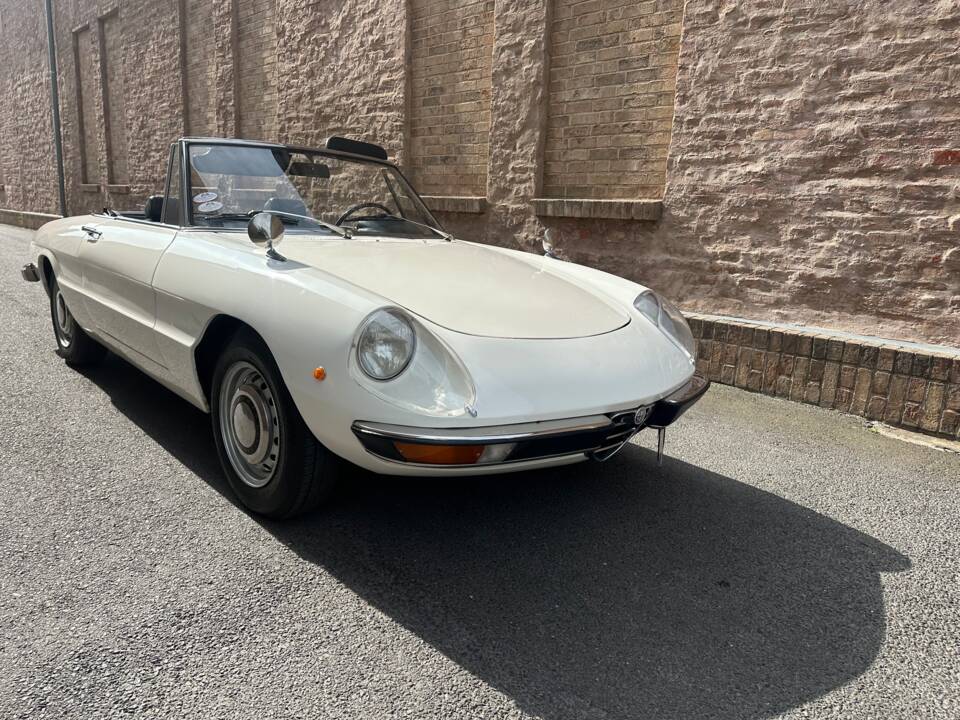 Image 12/63 of Alfa Romeo Spider 1300 Junior (1970)