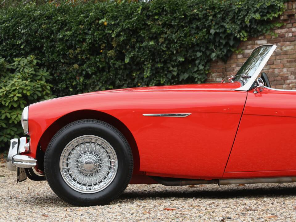 Image 33/50 de Austin-Healey 100/6 (BN4) (1959)