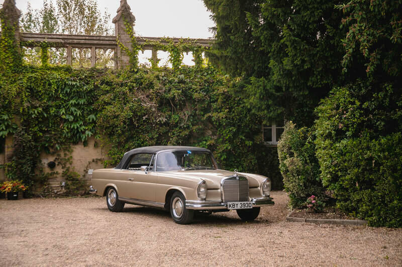 Image 20/50 of Mercedes-Benz 250 SE (1966)