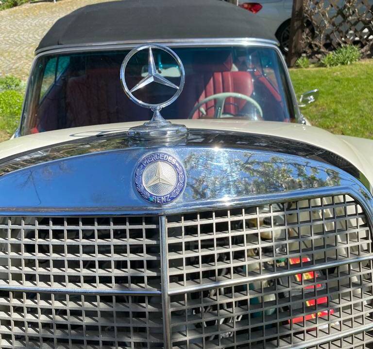 Bild 28/77 von Mercedes-Benz 250 SE (1966)