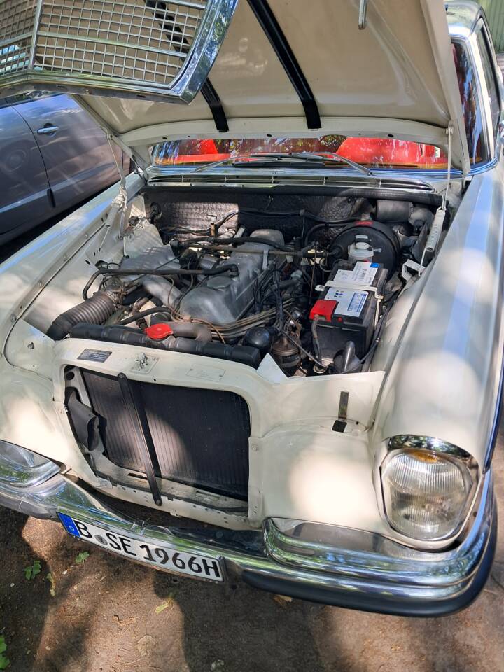 Afbeelding 3/12 van Mercedes-Benz 250 SE (1966)