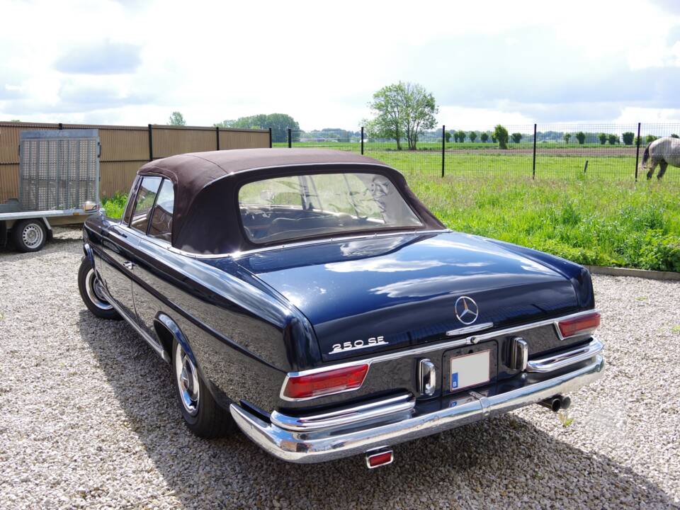 Afbeelding 11/32 van Mercedes-Benz 250 SE (1967)