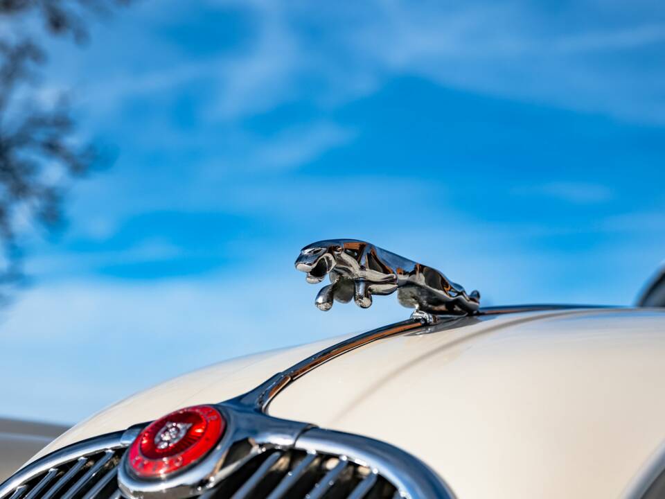 Bild 30/100 von Jaguar XK 150 DHC (1959)