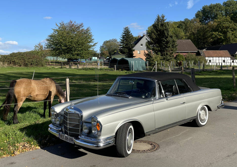 Bild 3/7 von Mercedes-Benz 280 SE (1969)
