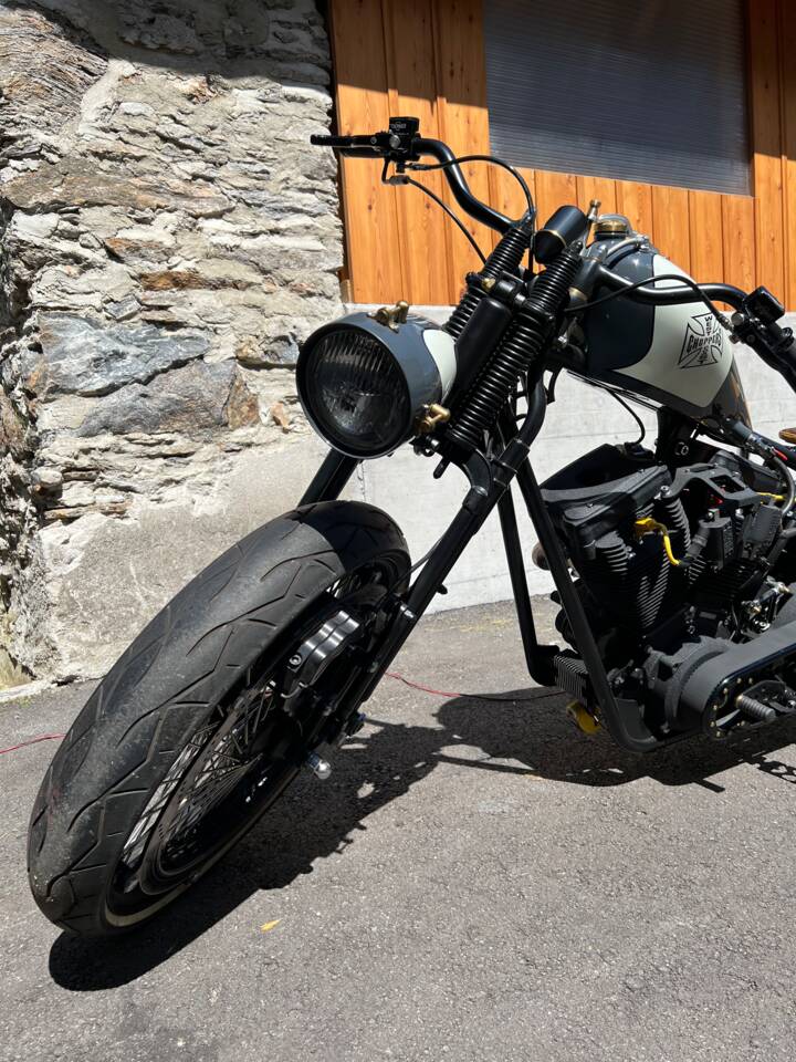 Imagen 60/60 de Harley-Davidson DUMMY (2017)