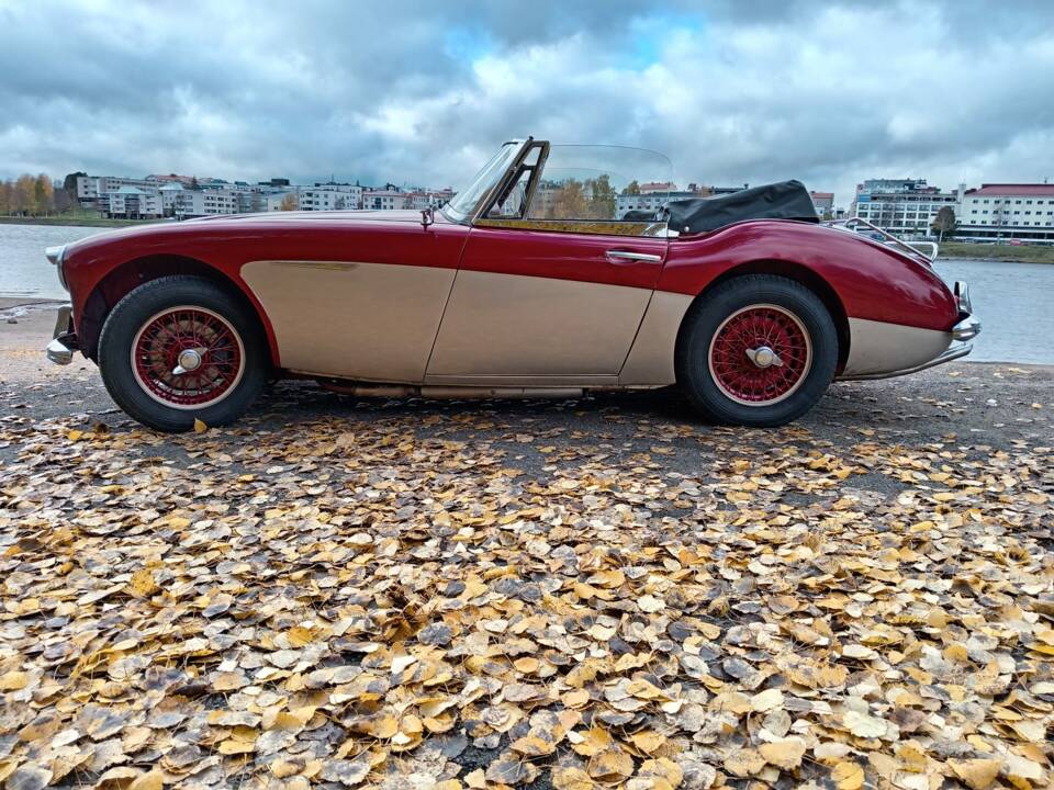Immagine 4/23 di Austin-Healey 3000 Mk II (BJ7) (1964)