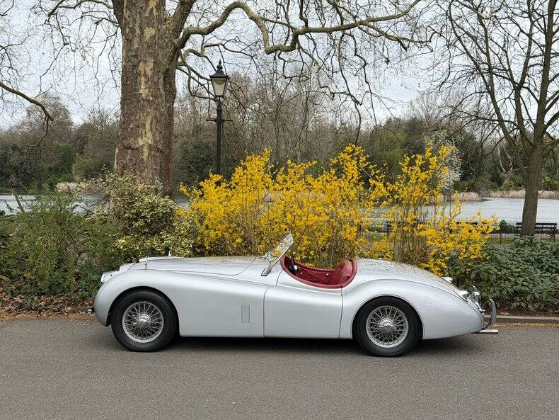 Image 26/50 of Jaguar XK 120 OTS (1953)