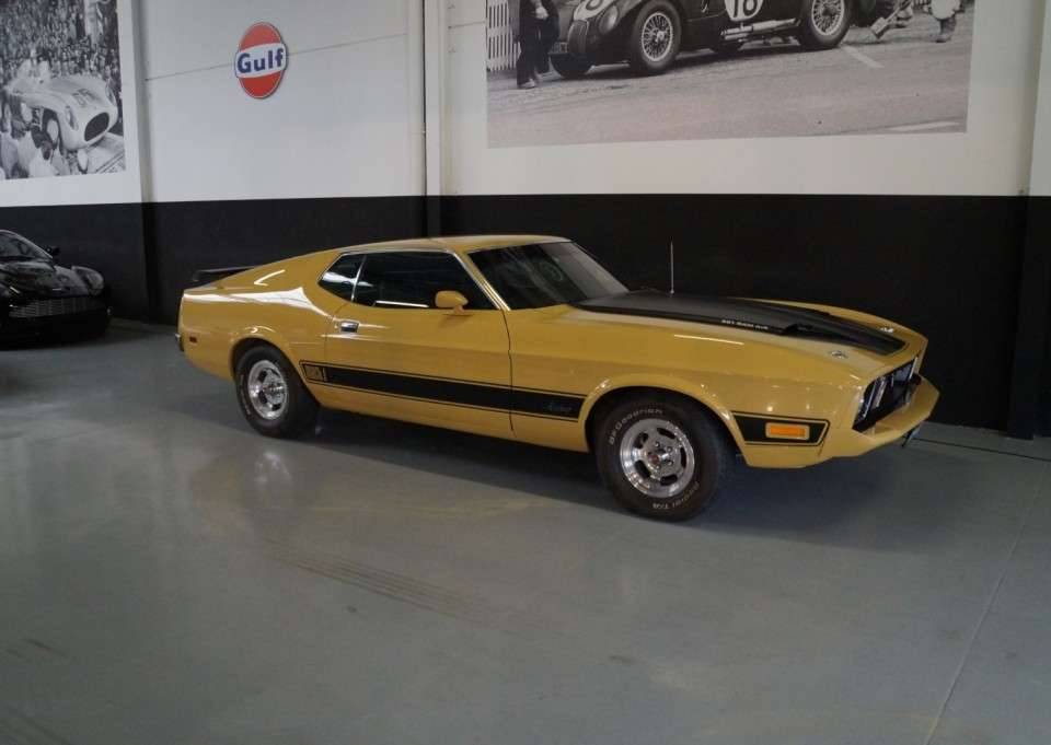 Image 1/50 de Ford Mustang Mach 1 (1973)