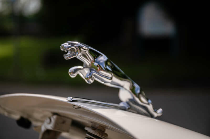 Afbeelding 19/33 van Jaguar Mk II 3.8 (1961)