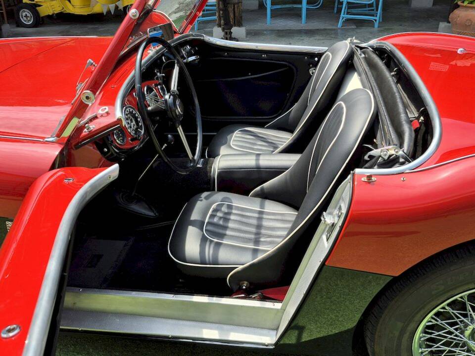 Bild 22/62 von Austin-Healey 100&#x2F;4 (BN1) (1954)
