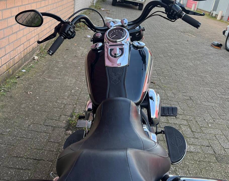 Bild 27/38 von Harley-Davidson DUMMY (2015)