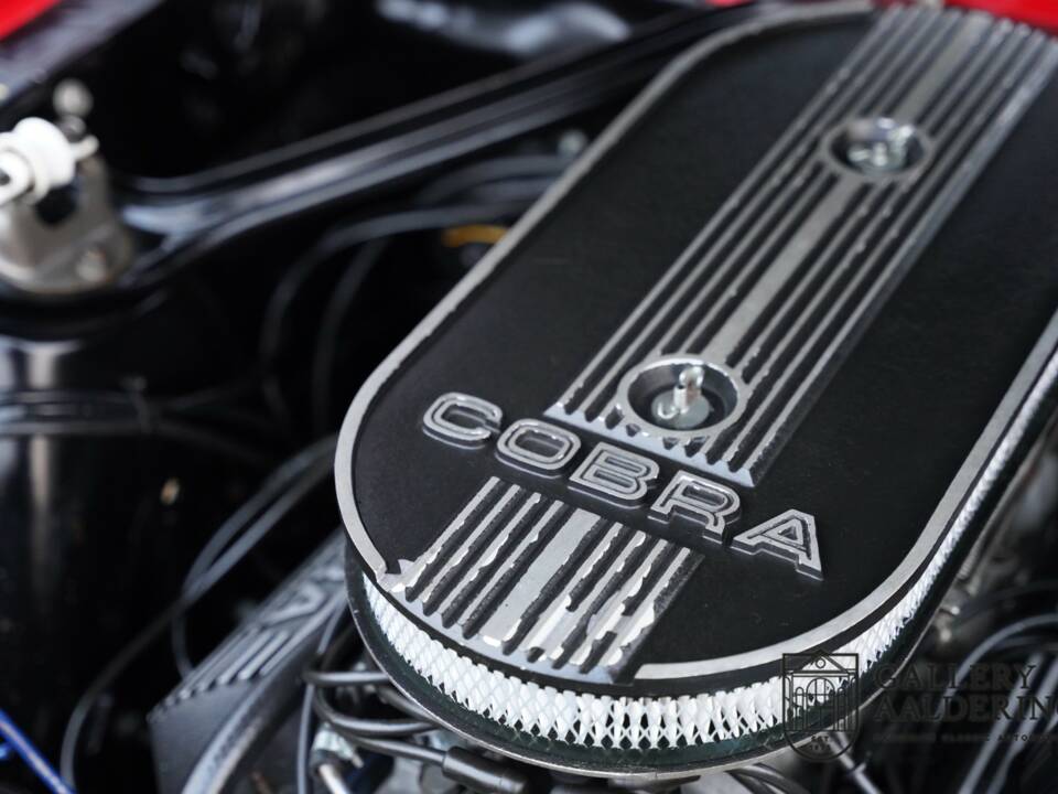 Bild 44/50 von Ford Shelby GT 350 (1968)