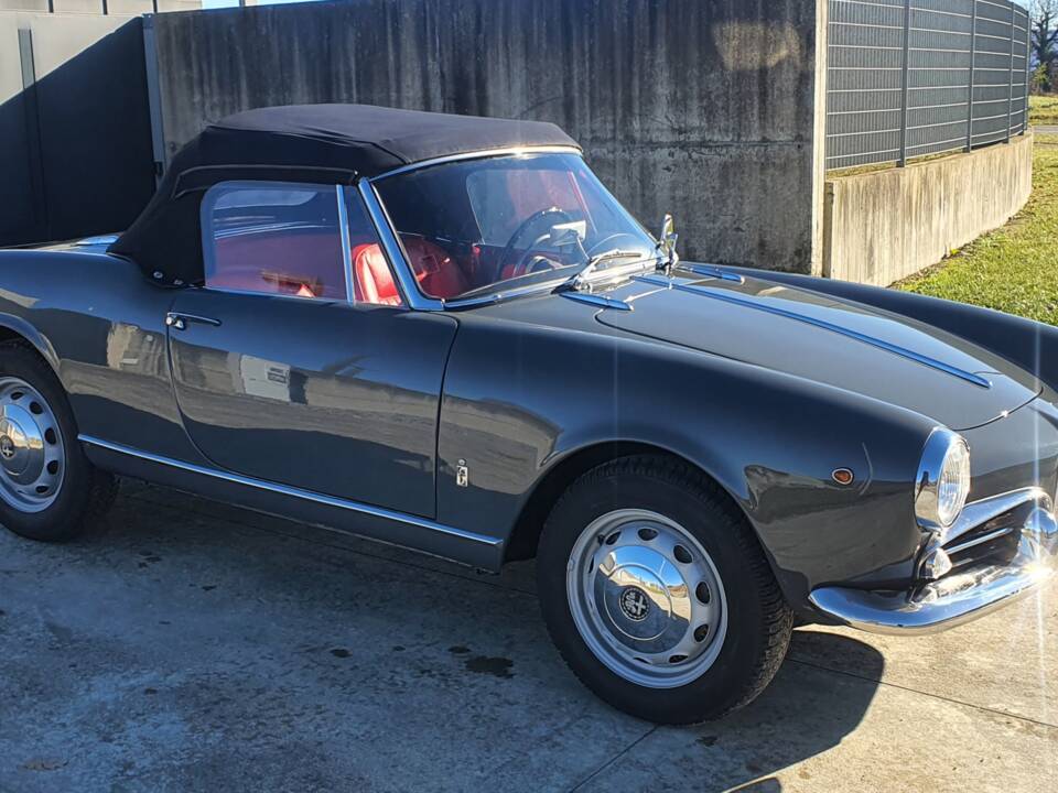 Image 4/50 of Alfa Romeo Giulietta Spider (1959)