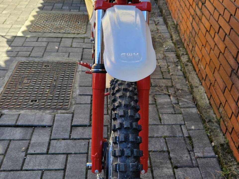 Afbeelding 3/17 van SWM RS 250 GS (1978)