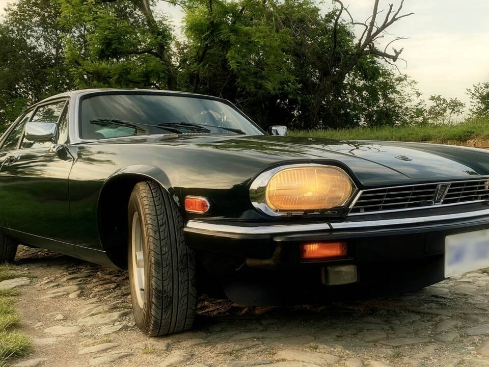Image 5/8 of Jaguar XJ-S V12 (1989)