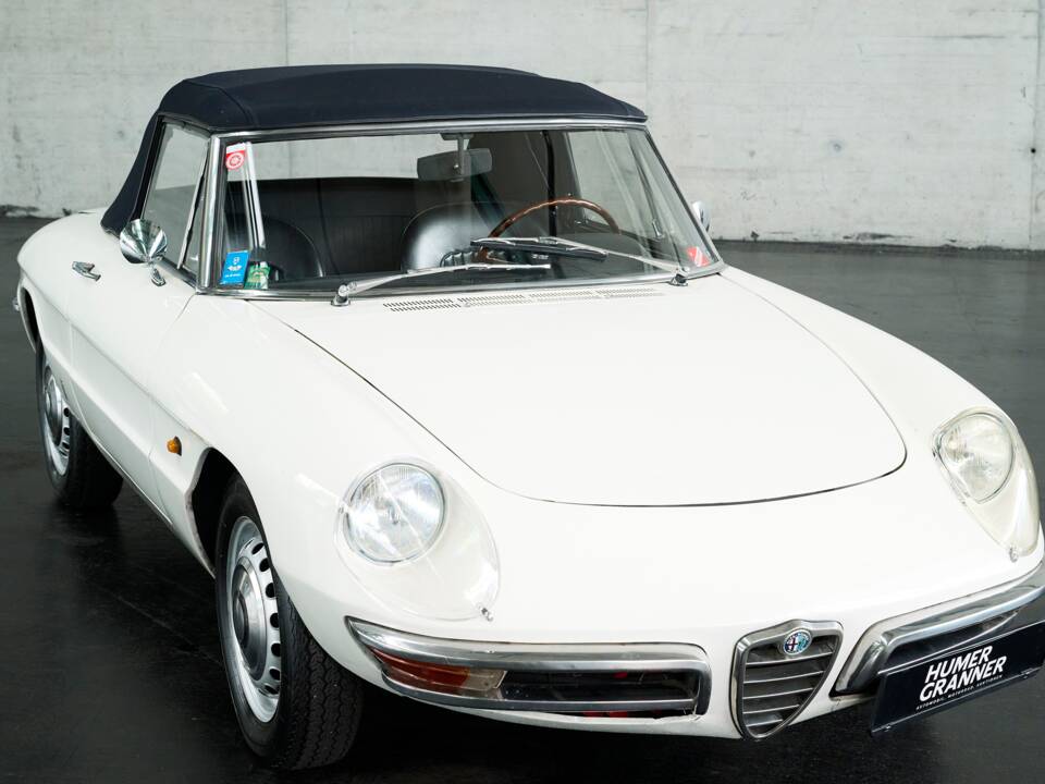 Image 17/50 of Alfa Romeo 1600 Spider Duetto (1966)