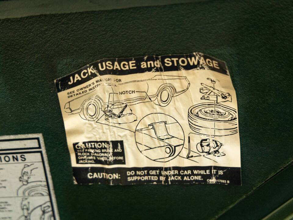 Bild 35/50 von Ford Shelby GT 350 (1968)