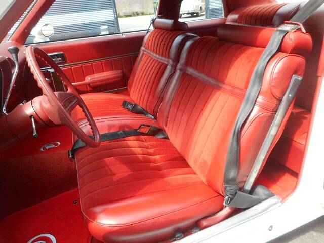 Image 11/23 of Buick Skylark Coupe (1976)