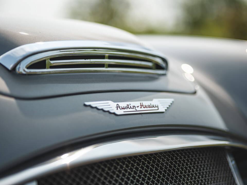 Immagine 12/50 di Austin-Healey 3000 Mk I (BT7) (1959)
