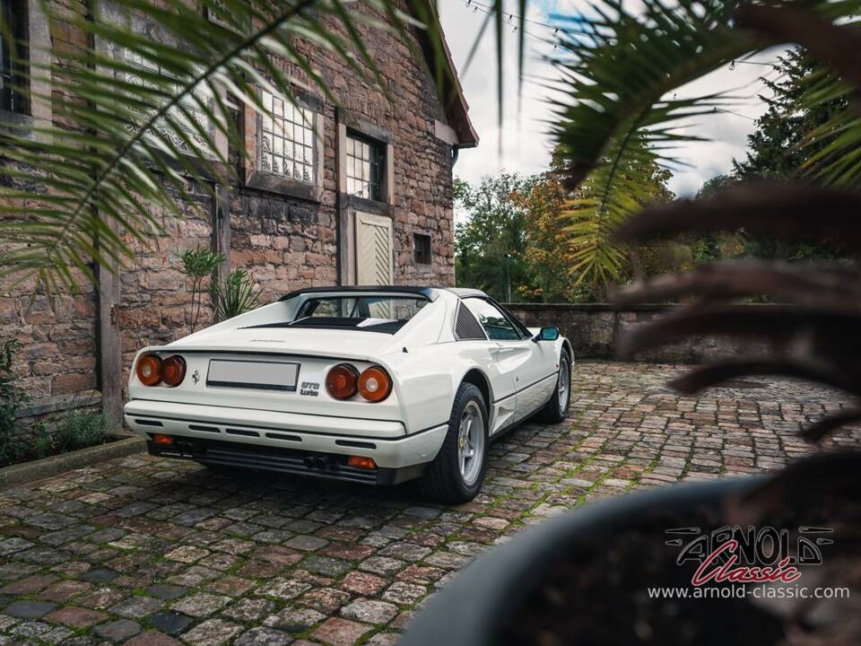 Imagen 10/65 de Ferrari 208 GTS Turbo (1987)