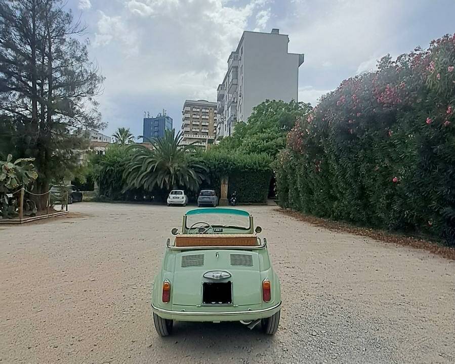 Image 24/80 of FIAT Ghia 500 Jolly (1970)