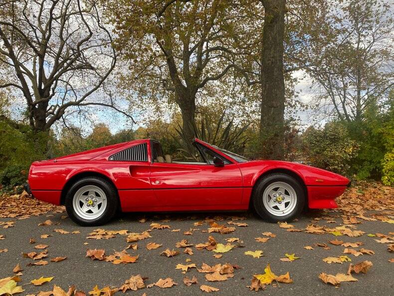 Image 5/50 of Ferrari 308 GTS Quattrovalvole (1983)