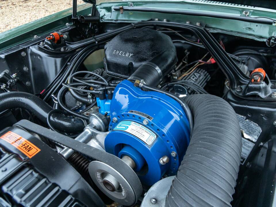 Immagine 47/50 di Ford Shelby GT 350 (1968)