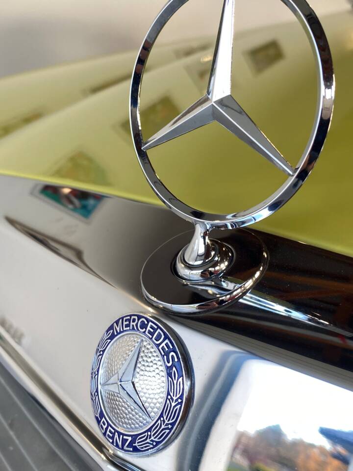 Bild 23/71 von Mercedes-Benz 250 (1979)