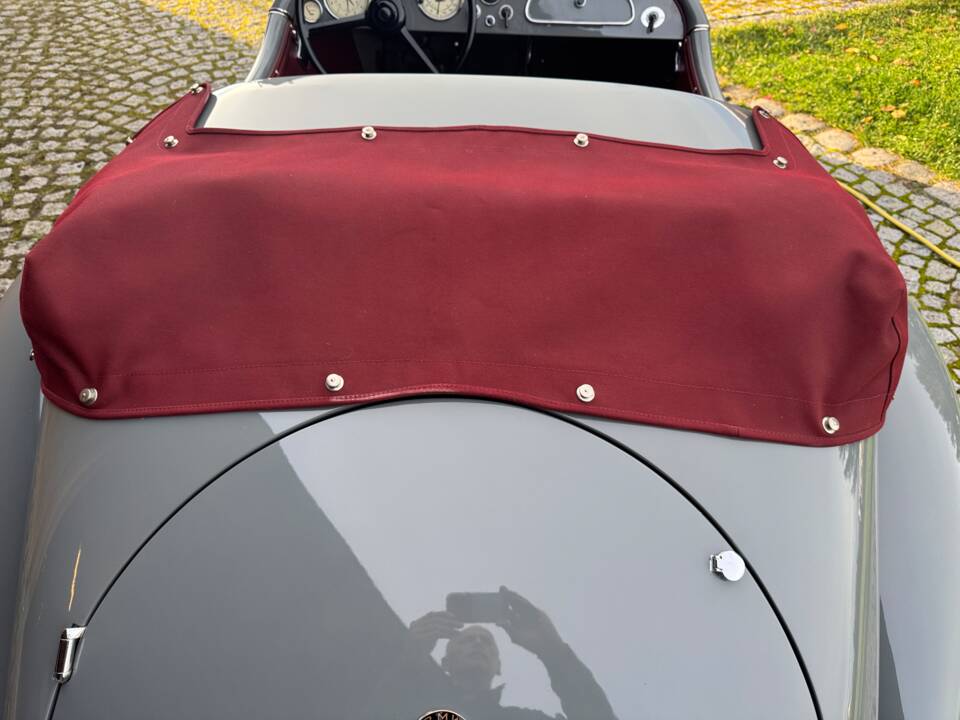 Immagine 50/88 di BMW 315/1 Sport (1934)