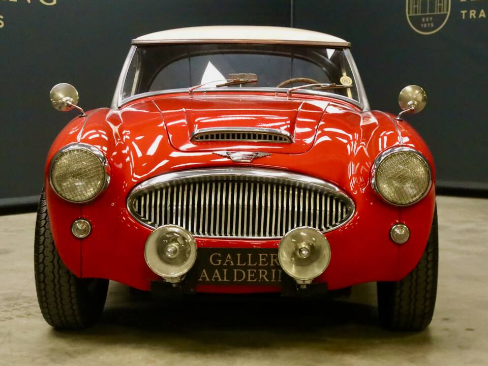 Bild 5/50 von Austin-Healey 3000 Mk II (BN7) (1962)