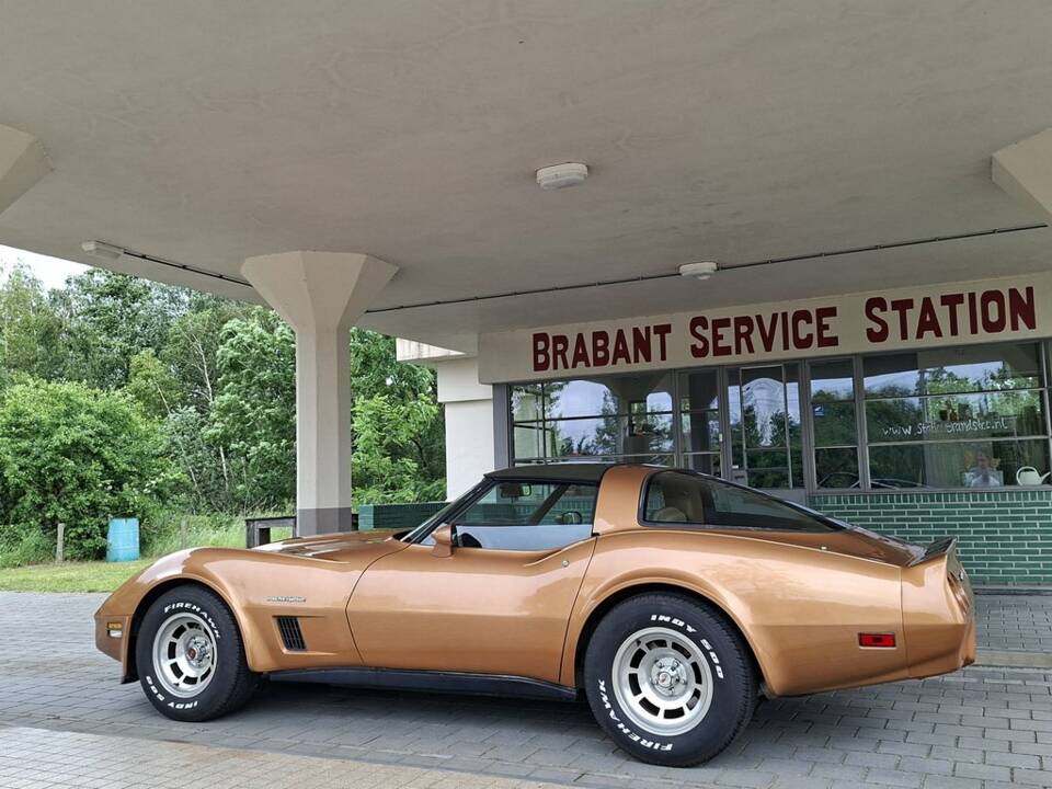 Bild 3/8 von Chevrolet Corvette Cross-Fire Injection (1982)