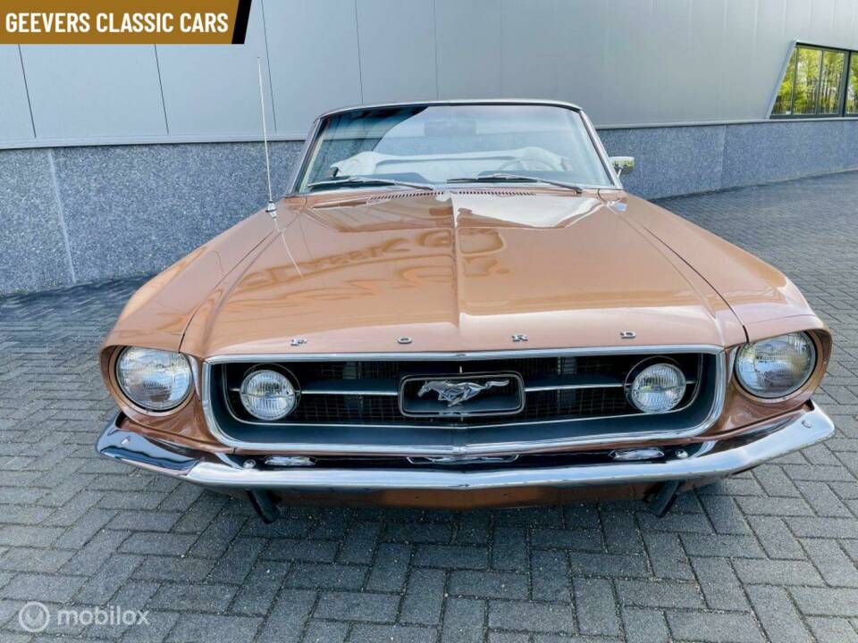 Bild 6/11 von Ford Mustang 289 (1967)