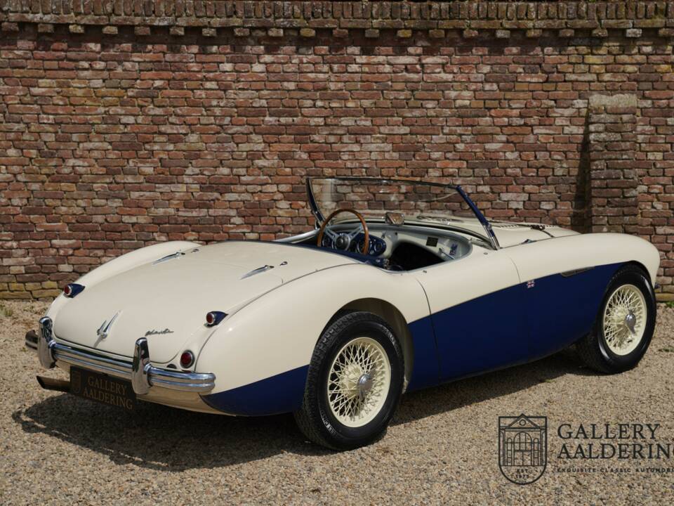 Immagine 32/50 di Austin-Healey 100/4 (BN1) (1954)
