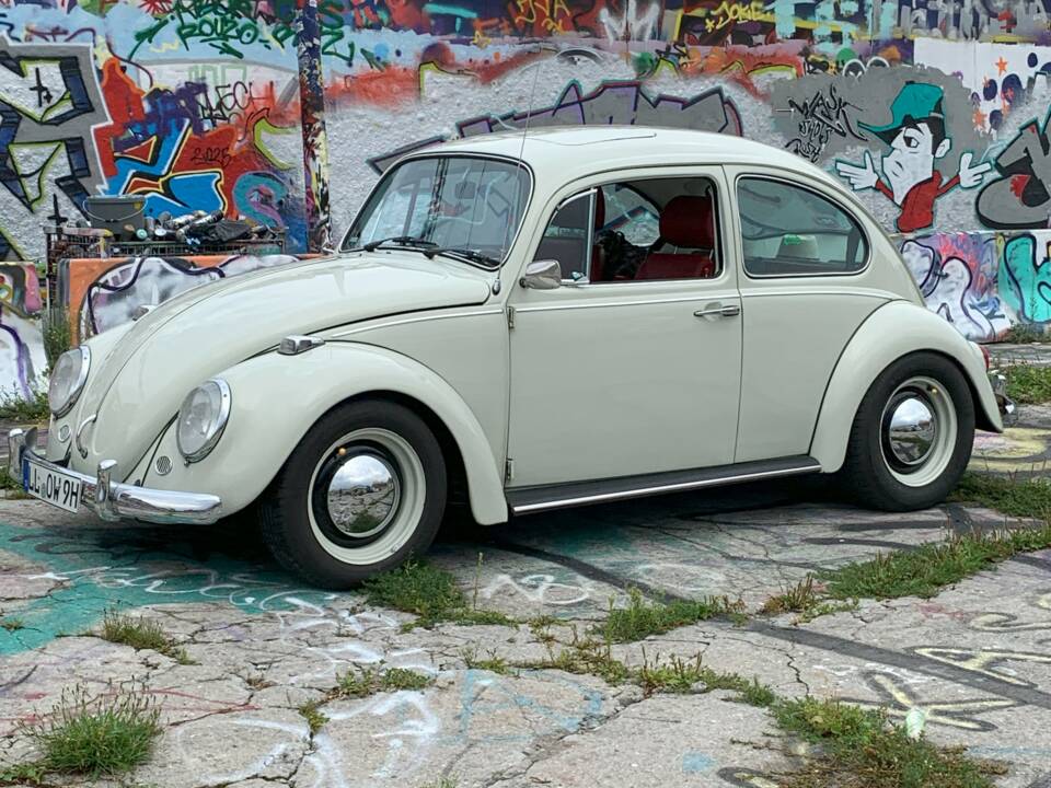 Bild 37/56 von Volkswagen Käfer 1300 (1968)