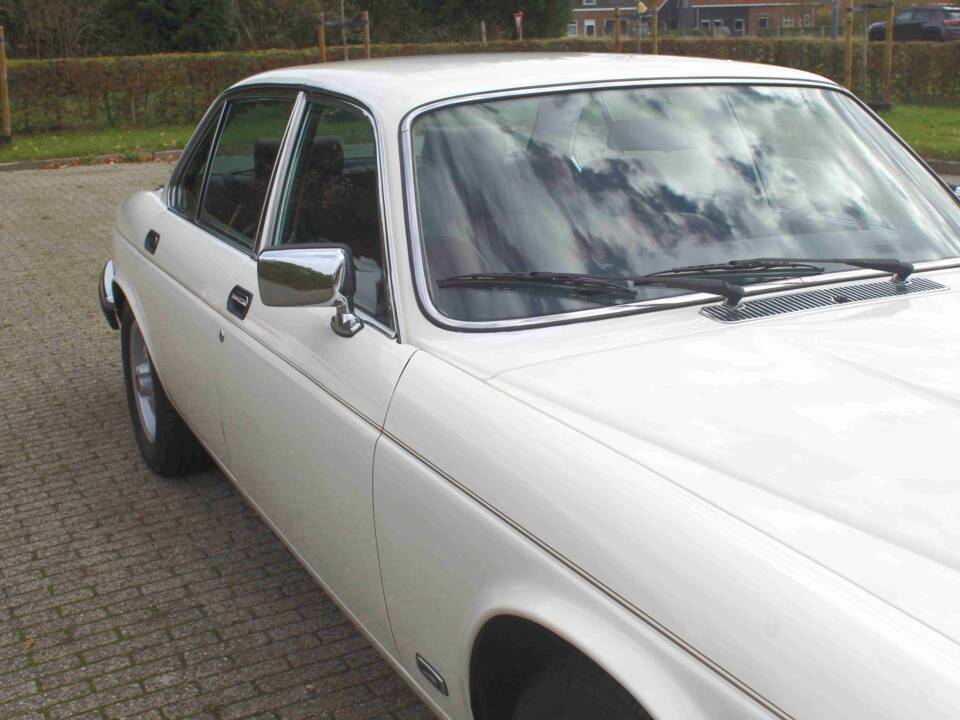 Bild 17/68 von Jaguar XJ 6 4.2 (1985)