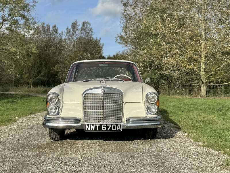 Image 25/50 of Mercedes-Benz 220 SE b (1963)