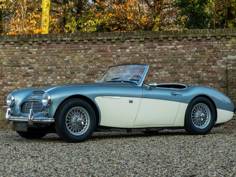 Bild 23/50 von Austin-Healey 3000 Mk I (BN7) (1960)