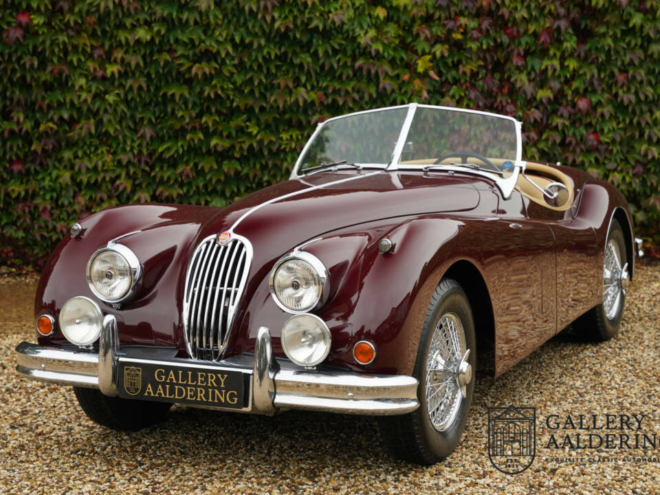 Bild 47/50 von Jaguar XK 140 SE-C OTS (1956)