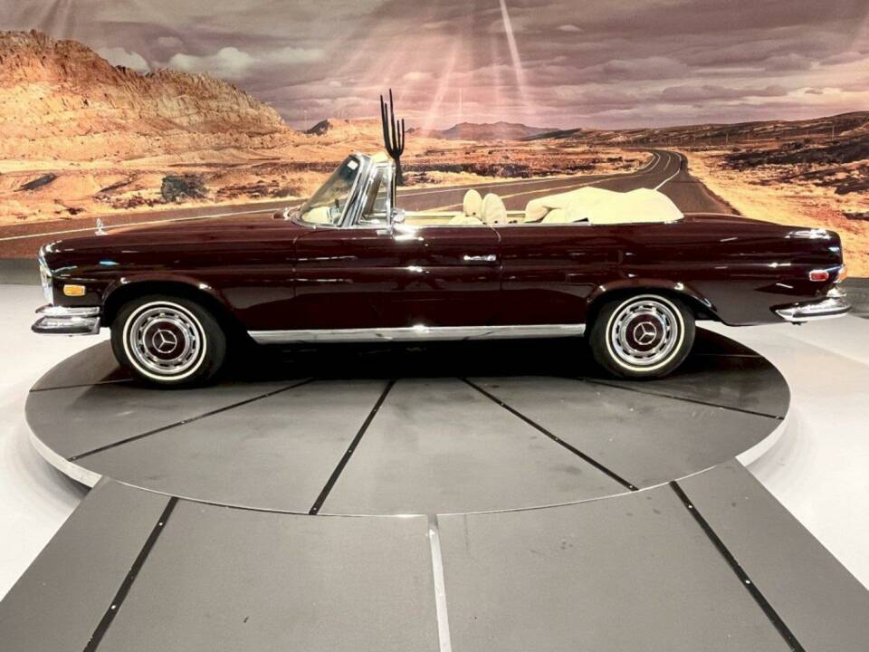 Image 7/36 de Mercedes-Benz 280 SE 3,5 (1971)
