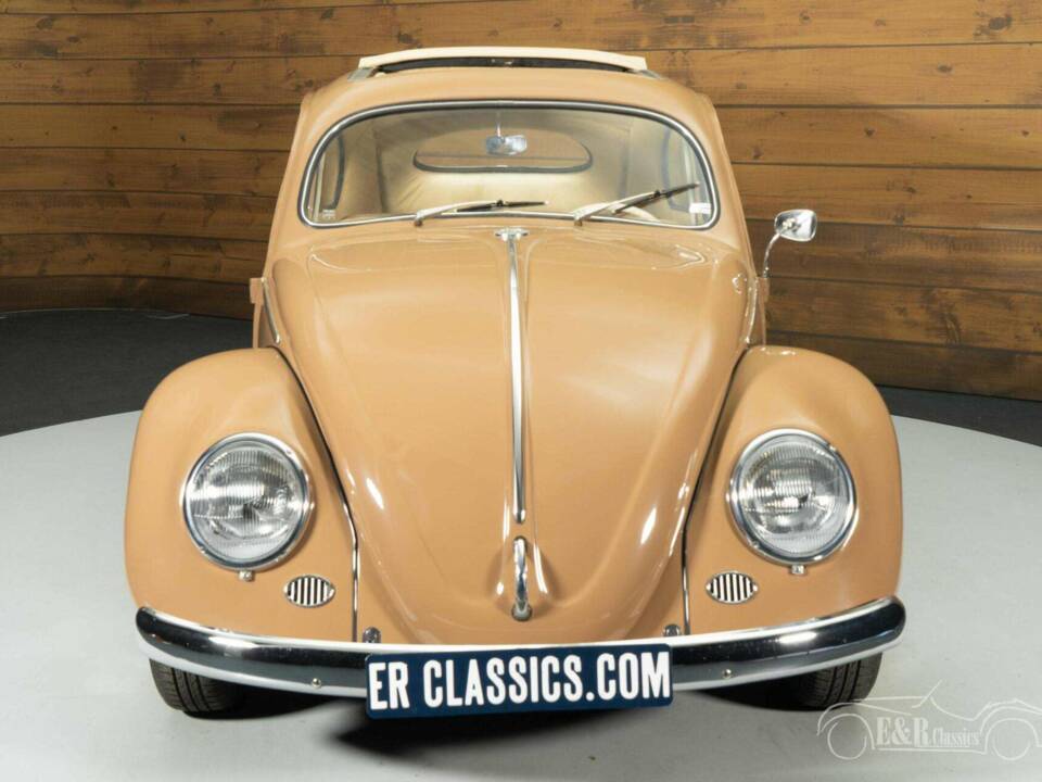 Immagine 4/19 di Volkswagen Maggiolino 1200 Export "Oval" (1957)