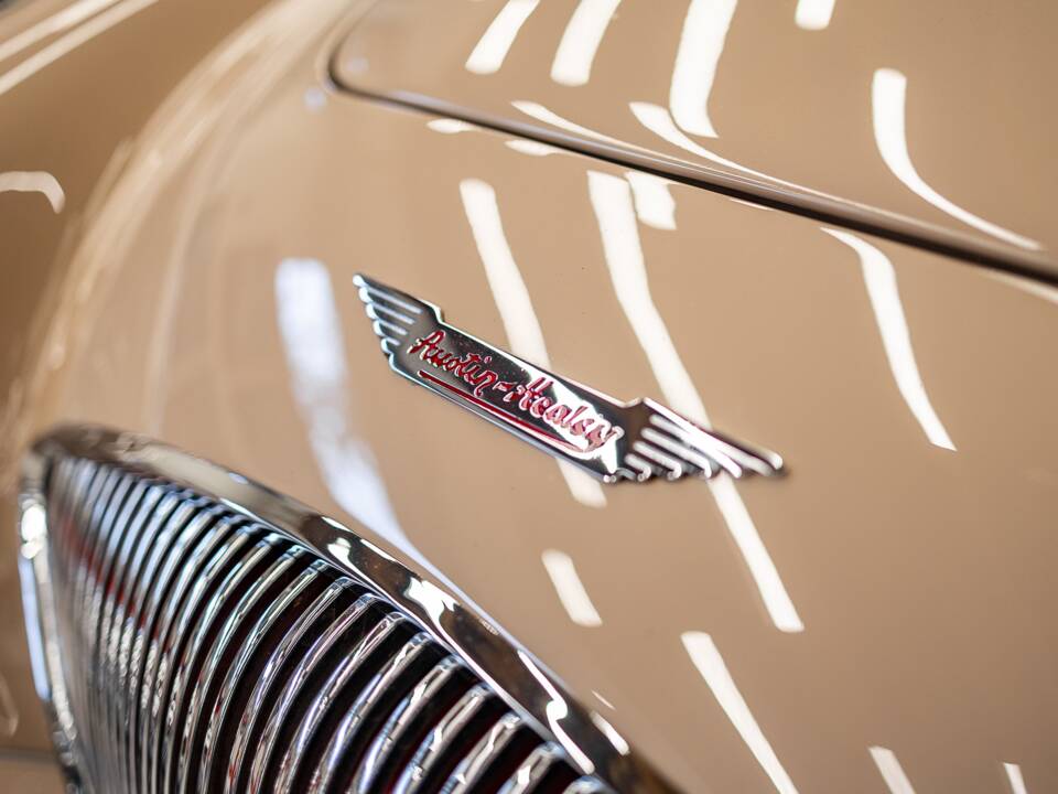 Immagine 22/50 di Austin-Healey 100/4 (BN1) (1954)