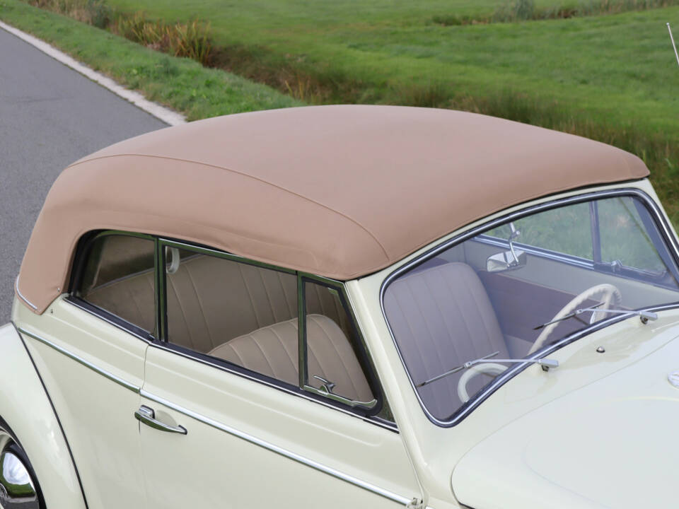 Image 37/50 of Volkswagen Beetle Speedster (1963)