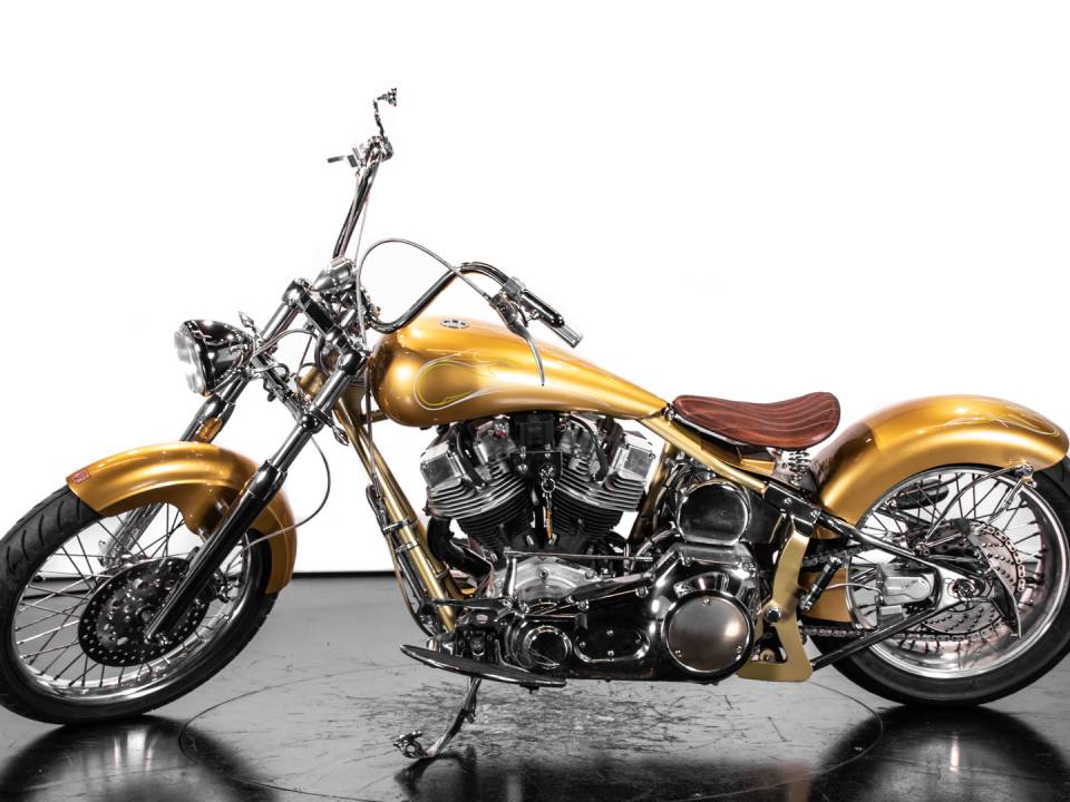 Image 1/37 of Harley-Davidson DUMMY (2009)